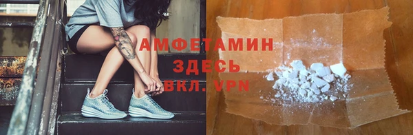 сатива Каменногорск