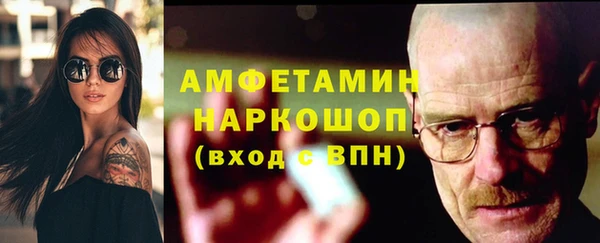 сатива Каменногорск