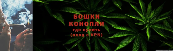 сатива Каменногорск