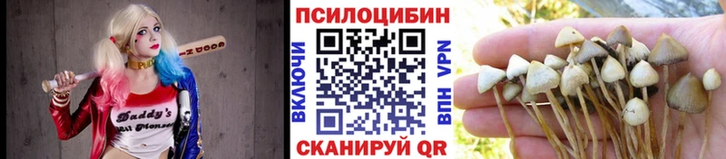 Галлюциногенные грибы Magic Shrooms  Купить закладки  Ельня 